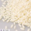 Miyuki Quarter TILA - Matte Opq Cream